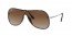 710/13 (light havana) gradient lens