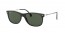 601/71 (black) dark green lens