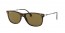 710/73 (havana) dark brown lens
