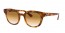647551 (yellow light havana) clear gradient brown lens