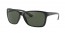 601/71 (black) dark green lens
