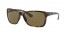 710/73 (light havana) dark brown lens