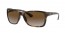 710/T5 (light havana) light grey brown grad polarized lens
