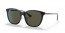 601/9A (black) green polarized lens