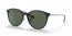 629271 (black) green lens