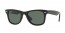 601/58 (black) polarized green lens