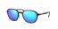 601SA1 (sanding black) green mirr blue polar lens