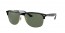 601/71 (black) dark green lens