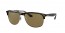 710/73 (havana) dark brown lens