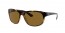 710/83 (havana) polarized dark brown lens