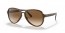 660451 (brown on green) clear gradient brown lens