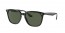 601/71 (black) dark green lens