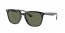 601/9A (black) polarized dark green lens