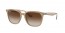 616613 (turtledove) gradient brown lens