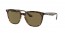 710/73 (havana) dark brown lens