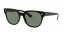 601/71 (black) green lens