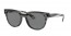 643087 (striped grey havana) dark grey lens