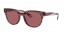 643175 (striped havana bordeaux) dark violet lens