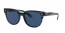 643280 (striped blue havana) dark blue lens