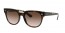 710/13 (havana) brown gradient lens