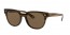 820/73 (striped red havana) dark brown lens