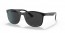 603948 (black on transparent) black polarized lens