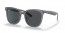 659987 (transparent grey) dark grey lens