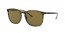 710/73 (havana) dark brown lens