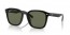 601/9A (black) green polarized lens