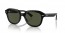 901/31 (black on gold) green lens
