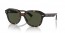 902/31 (tortoise) green lens