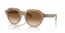 616651 (turtledove) brown gradient lens