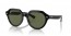 901/58 (black) green polarized lens