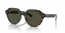 902/31 (tortoise) green lens