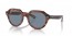 954/62 (striped havana) grey lens
