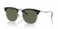 66709A (black on silver) dark green polarized lens