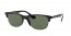 601/71 (black) green lens