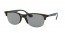 6421/1 (rubber grey havana) yellow lens