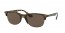 710/73 (havana) brown lens