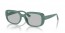 676287 (algae green) light grey lens