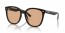 601/93 (black) brown lens