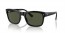 601/31 (black on gold) dark green lens