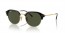 601/31 (black on gold) dark green lens