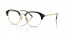 601/GH (black on gold) grey photochromic lens