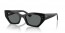 667781 (black) dark grey polarized lens