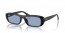 667772 (black) light blue lens