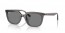 667587 (transparent grey) dark grey lens