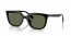 901/9A (black) dark green polarized lens