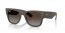 6124T5 (sand brown) polarized brown gradient lens