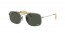 9209P1 (silver) dark green polar. lens